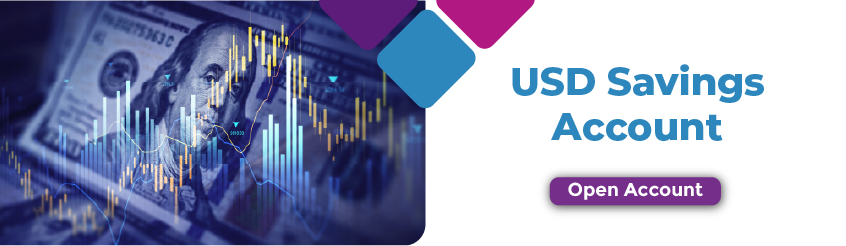 Foreign Currency Accounts